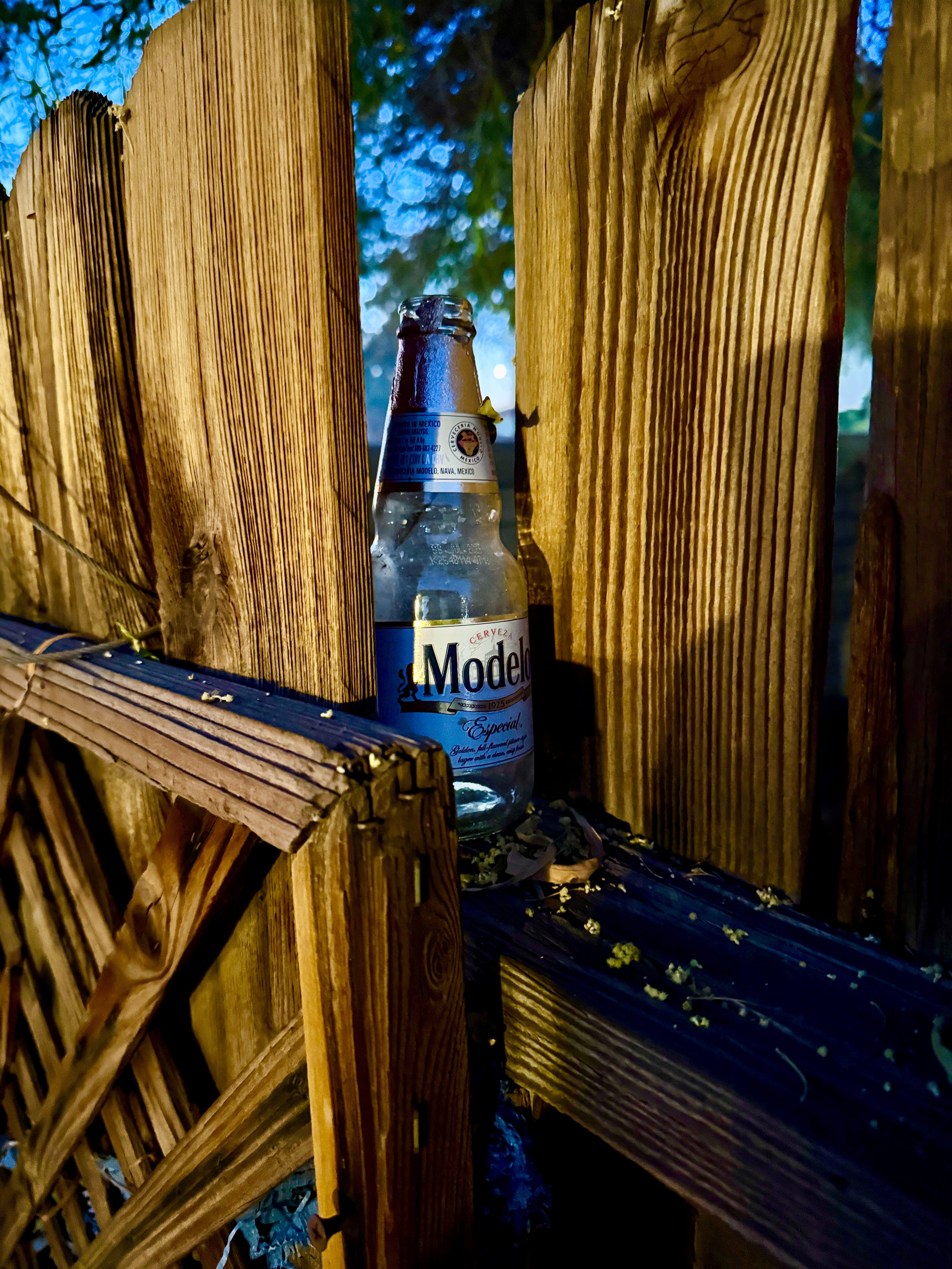 I Think My Fence Has a Drinking Problem